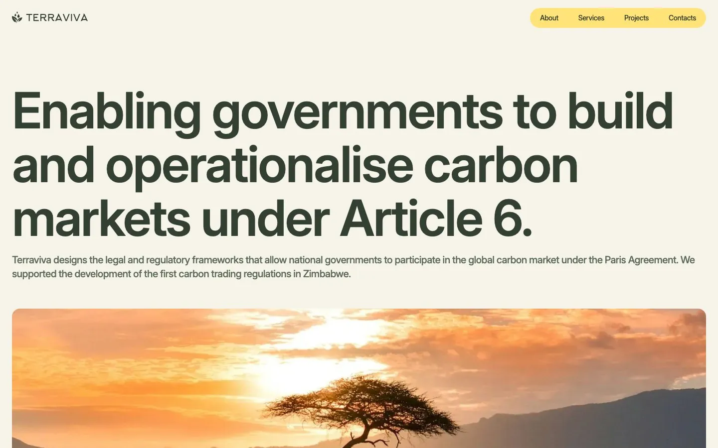 The One Terra Viva home page, with the headline "Enabling governments to build and operationalise carbon markets under Article 6" above a savanna sunset